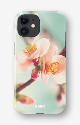 custom_case_switcher.case_types.wallet_case