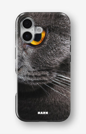 custom_case_switcher.case_types.wallet_case