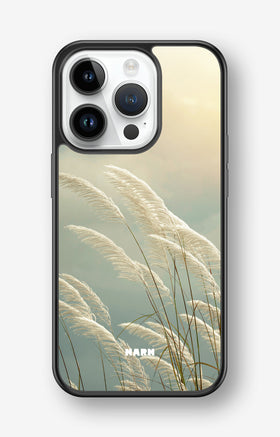 custom_case_switcher.case_types.wallet_case
