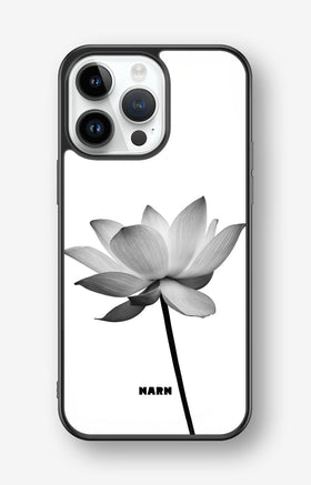 custom_case_switcher.case_types.wallet_case