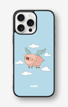 custom_case_switcher.case_types.wallet_case