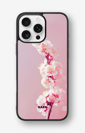 custom_case_switcher.case_types.wallet_case