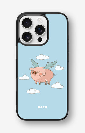 custom_case_switcher.case_types.wallet_case