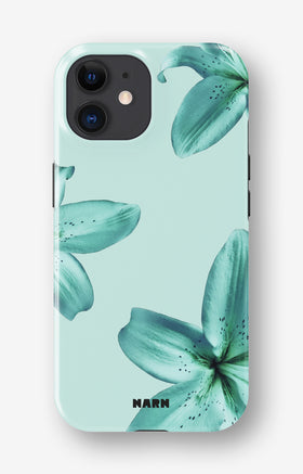 custom_case_switcher.case_types.wallet_case