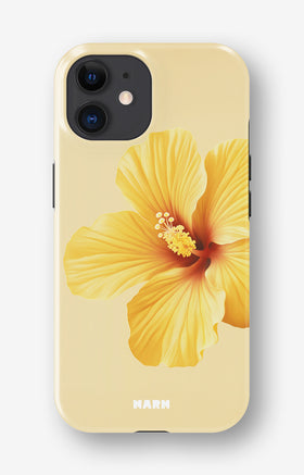 custom_case_switcher.case_types.wallet_case