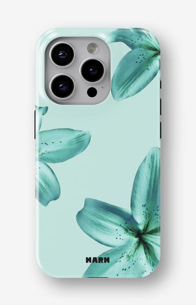 custom_case_switcher.case_types.wallet_case