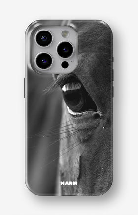 custom_case_switcher.case_types.wallet_case