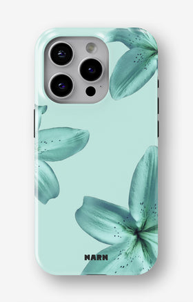 custom_case_switcher.case_types.wallet_case