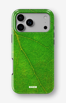 custom_case_switcher.case_types.wallet_case