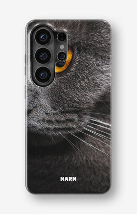 custom_case_switcher.case_types.wallet_case