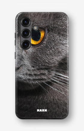 custom_case_switcher.case_types.wallet_case