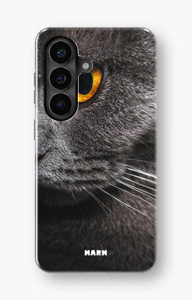 custom_case_switcher.case_types.wallet_case
