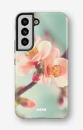custom_case_switcher.case_types.wallet_case