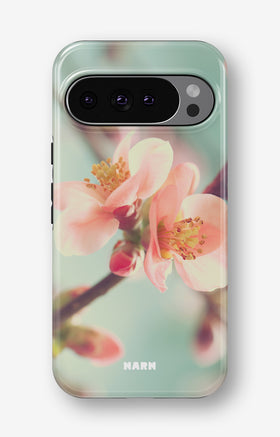 custom_case_switcher.case_types.wallet_case