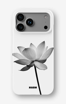 custom_case_switcher.case_types.slim_magsafe