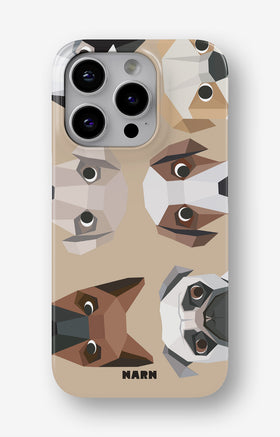 custom_case_switcher.case_types.slim_magsafe