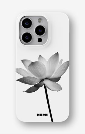custom_case_switcher.case_types.slim_magsafe