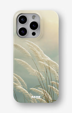 custom_case_switcher.case_types.slim_magsafe