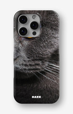 custom_case_switcher.case_types.slim_magsafe