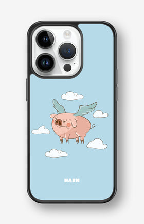 custom_case_switcher.case_types.wallet_case