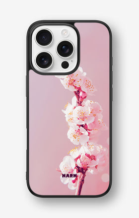 custom_case_switcher.case_types.wallet_case